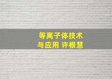 等离子体技术与应用 许根慧